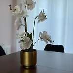 Будинок відпочинку Joy & House Бристоль