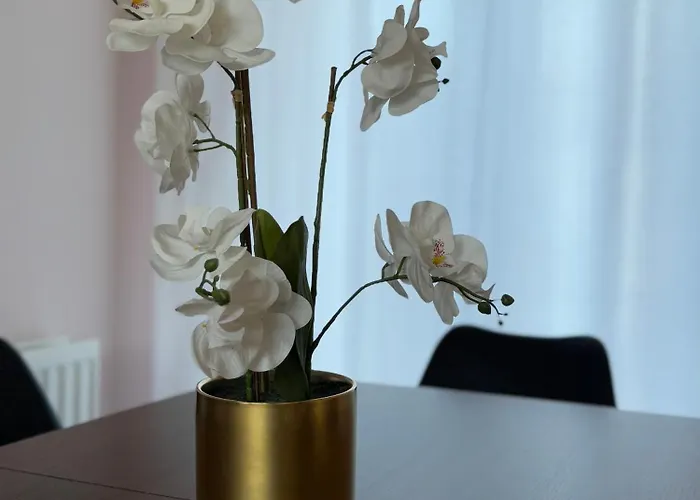 Ferienhaus Joy & House Bristol